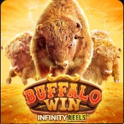 online slot Buffalo Win